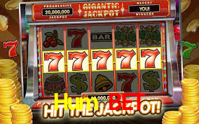 Hum Bet,Hum Bet Paga